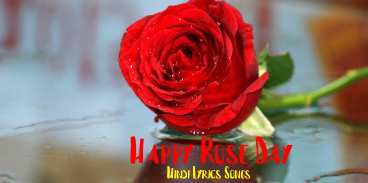 Rose-day